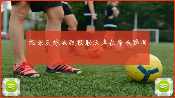 维尔茨球衣致敬勒沃库森争议瞬间