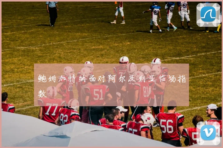 鲍姆加特纳面对阿尔及利亚临场指数