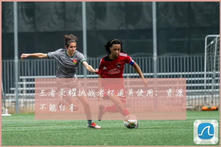 王者荣耀挑战者杯道具使用：资源不能白拿