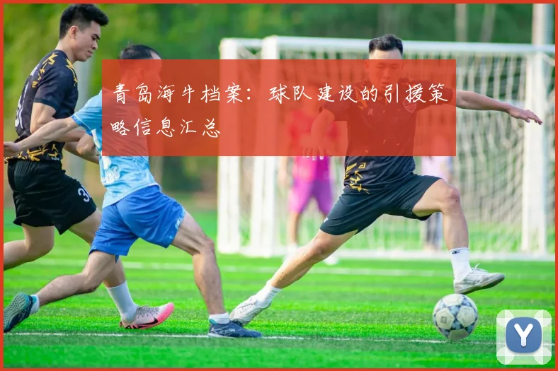 青岛海牛档案:球队建设的引援策略信息汇总
